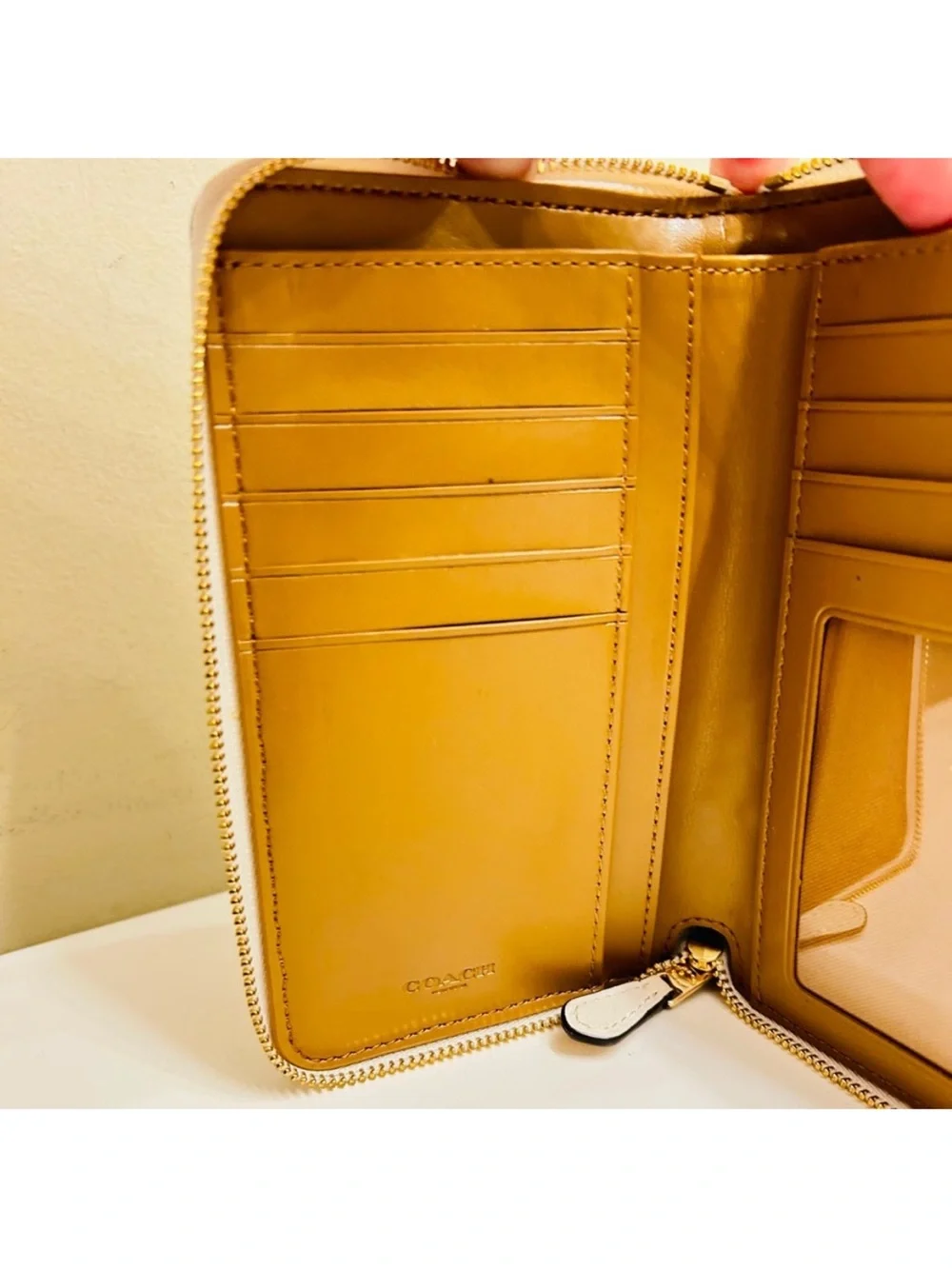 RARE Coach Ombre Rainbow Striped Zip Around Wallet